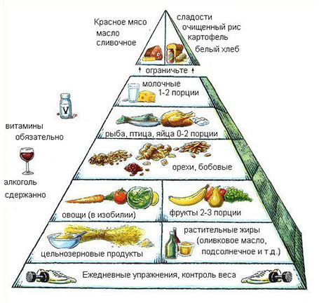 Гарвардская пирамида здорового питания