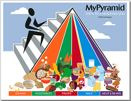 Американская пирамида питания MyPyramid